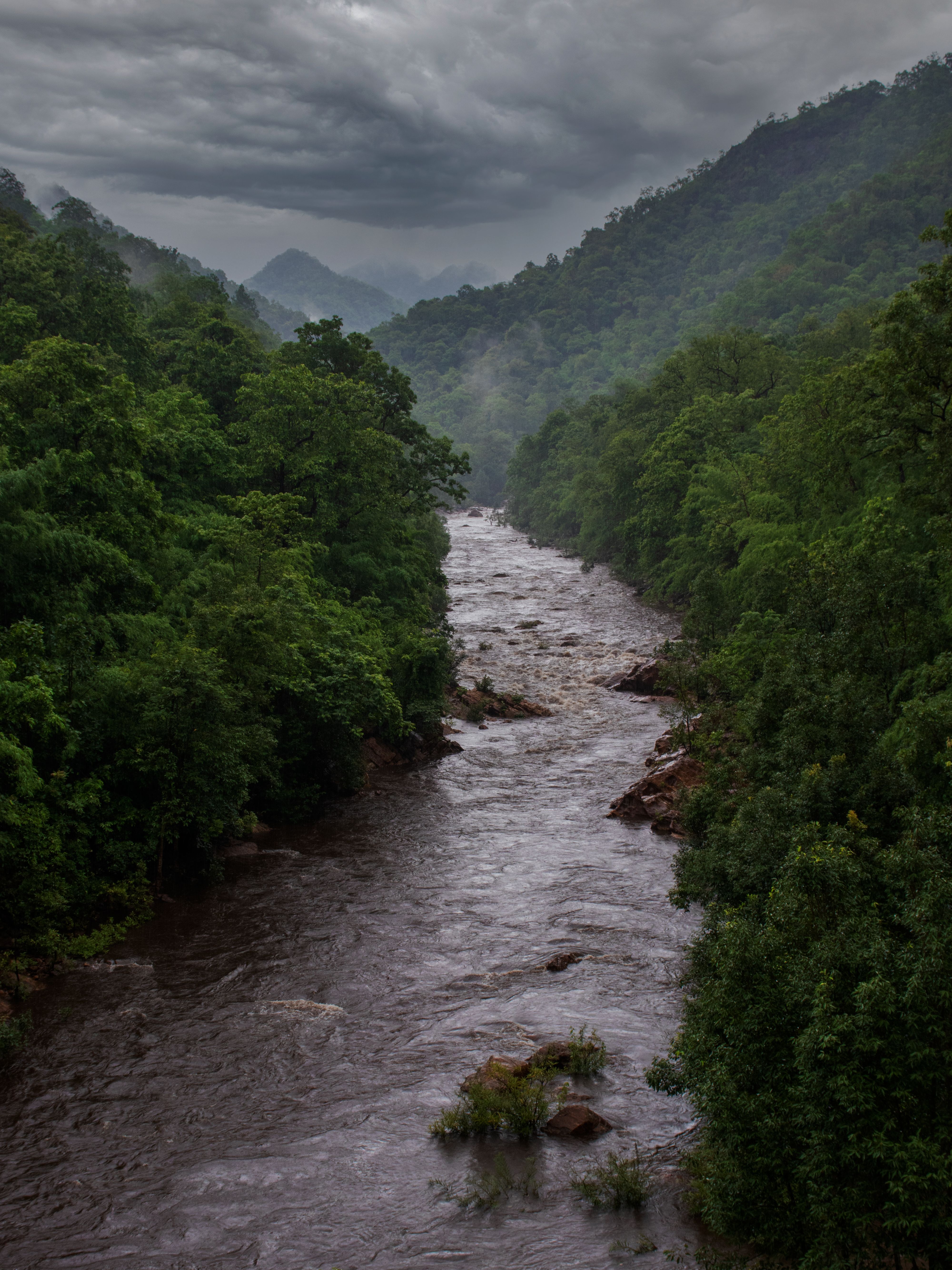 Monsoon Mist River Ghats